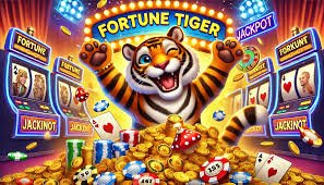 14 apk ক্যাসিনো গেমসের রঙিন বিনোদন জগৎ